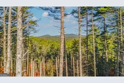 106 Still Run, Morganton, GA 30560 - Photo 17