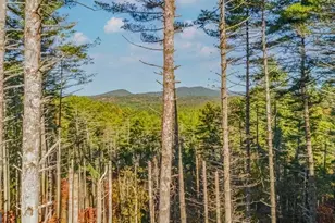 106 Still Run, Morganton, GA 30560 - Photo 17