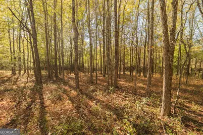 724 Teamon Road, Griffin, GA 30223 - Photo 41