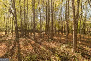 724 Teamon Rd, Griffin, GA 30223 - Photo 41