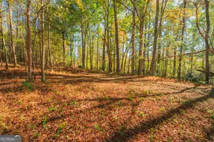 724 Teamon Rd, Griffin, GA 30223 - Photo 49