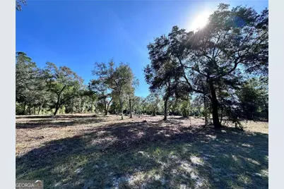 139 Satilla Sands Drive, Waynesville, GA 31566 - Photo 5