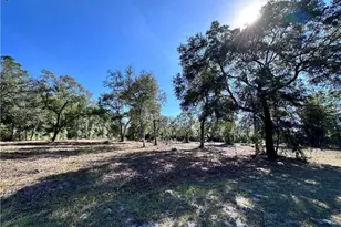 139 Satilla Sands Dr, Waynesville, GA 31566 - Photo 5