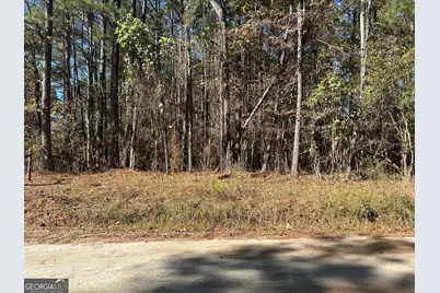 0 Primrose Circle, Greenville, GA 30222 - Photo 1