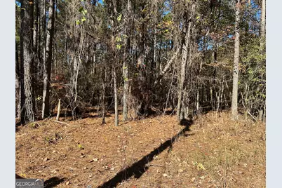 0 Primrose Circle, Greenville, GA 30222 - Photo 3