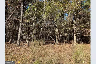 0 Primrose Circle, Greenville, GA 30222 - Photo 5