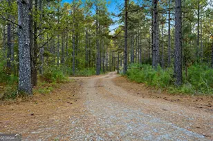 1907 Mountain Creek Church Rd, Starr, SC 29684 - Photo 7