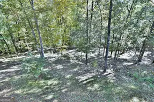 3175 Salem Rd, Pine Mountain, GA 31822 - Photo 33