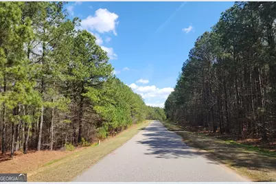 1135 Watersedge Cove, Tignall, GA 30668 - Photo 3