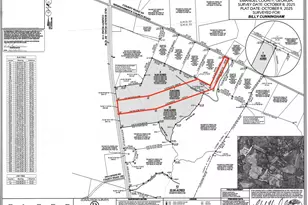 0 Old Wadley Rd, Swainsboro, GA 30401 - Photo 1