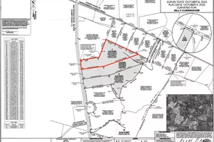 0 Old Wadley Rd, Swainsboro, GA 30401 - Photo 1