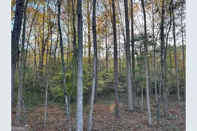 6587 Brockton Road, Nicholson, GA 30565 - Photo 13