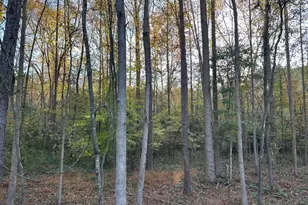 6587 Brockton Rd, Nicholson, GA 30565 - Photo 13