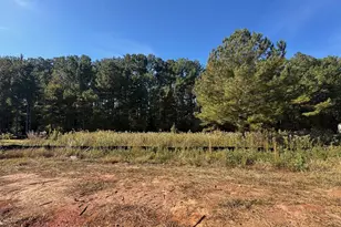 152 Hunters Chase Ct, Eatonton, GA 31024 - Photo 23