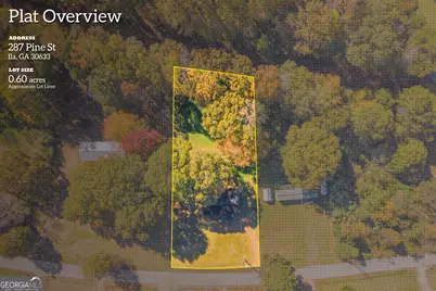 287 Pine Street, Ila, GA 30647 - Photo 29
