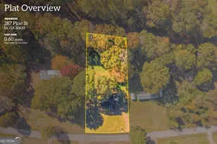 287 Pine St, Ila, GA 30647 - Photo 29