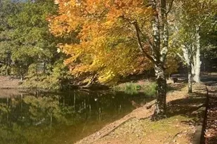 158 Mallard Pointe Way, Athens, GA 30606 - Photo 21