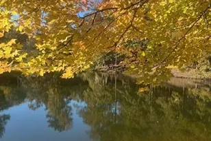 158 Mallard Pointe Way, Athens, GA 30606 - Photo 17