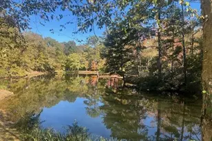 158 Mallard Pointe Way, Athens, GA 30606 - Photo 19