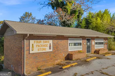 119 Main Street, Mount Airy, GA 30563 - Photo 3