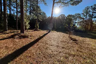 319 Country Club Rd, Cochran, GA 31014 - Photo 57