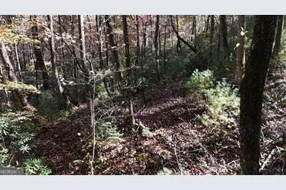 701 St Hwy 356, Clarkesville, GA 30523 - Photo 29