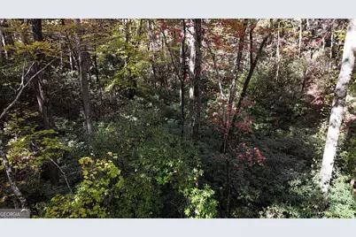 701 St Hwy 356, Clarkesville, GA 30523 - Photo 25