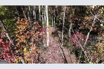 701 St Hwy 356, Clarkesville, GA 30523 - Photo 17