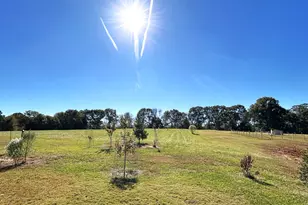 438 Davis Lake, Pine Mountain, GA 31822 - Photo 73