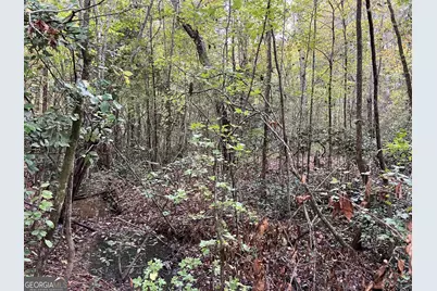 146 Lite N Tie Road, Gray, GA 31032 - Photo 3