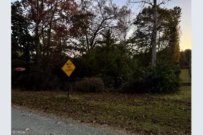 22 Century Drive, Martin, GA 30557 - Photo 11