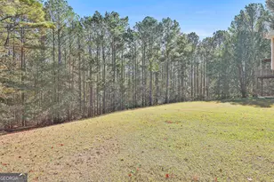 21 Sunset Ridge Way, Newnan, GA 30263 - Photo 39