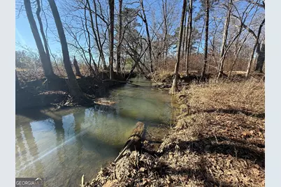 2053 Buttermilk Road SW, Cave Spring, GA 30124 - Photo 51