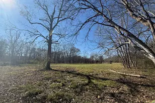 2053 Buttermilk Rd SW, Cave Spring, GA 30124 - Photo 59