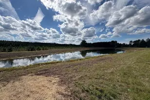 231 Park View Ln, Kingsland, GA 31548 - Photo 13