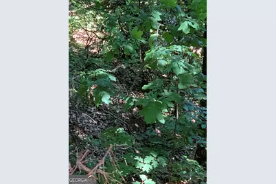 2046 Amy Creek Circle #34, Ellijay, GA 30540 - Photo 5