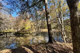 3195 Henderson Grove Rd, Sandersville, GA 31082 - Photo 37