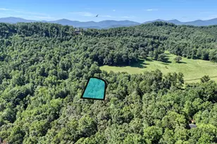 299 Craig Thompson Dr, Blairsville, GA 30512 - Photo 41