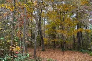 85 Holly Ln, Woodbury, GA 30293 - Photo 43