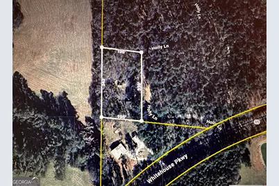 85 Holly Lane, Woodbury, GA 30293 - Photo 45