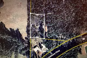 85 Holly Ln, Woodbury, GA 30293 - Photo 45