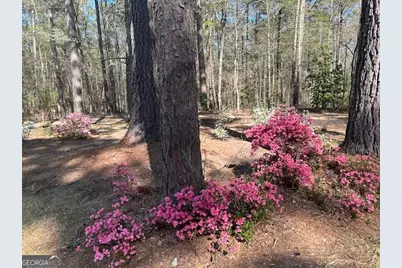 85 Holly Lane, Woodbury, GA 30293 - Photo 39