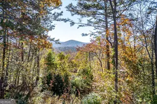 2561 Rustic Rdg Tr, Young Harris, GA 30582 - Photo 83