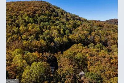 597 Trailwood Drive, Ellijay, GA 30536 - Photo 5