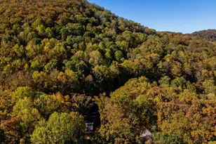 597 Trailwood Dr, Ellijay, GA 30536 - Photo 5