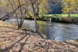 3558 Riverfront Ln, Hiawassee, GA 30546 - Photo 7