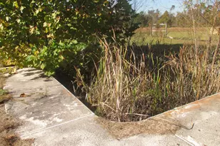 126 Ocmulgee St, Lumber City, GA 31549 - Photo 9