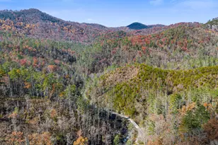 205 Briarwood Ln, Clayton, GA 30525 - Photo 61