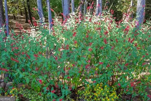 123 Conifer court, Winterville, GA 30683 - Photo 43