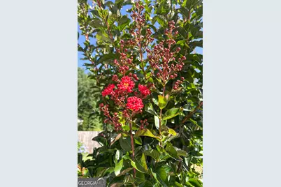 123 Conifer Court, Winterville, GA 30683 - Photo 45